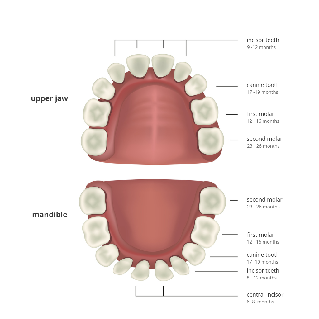 Prophylaxis dentistry warszawa